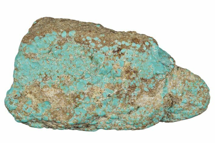 Tumbled Turquoise Section - Number Mine, Carlin, NV #292287